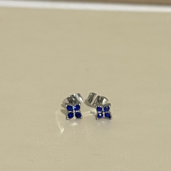 wild fable Jewelry - Wild fable Blue earrings-New